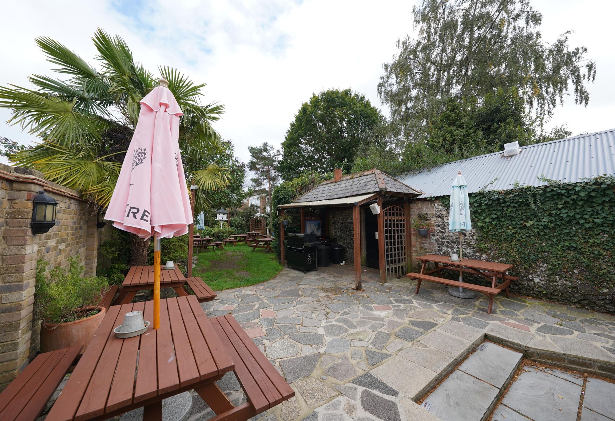 Photo taken 18 Sep 2025, garden.. (Garden). Published on 21-09-2025
