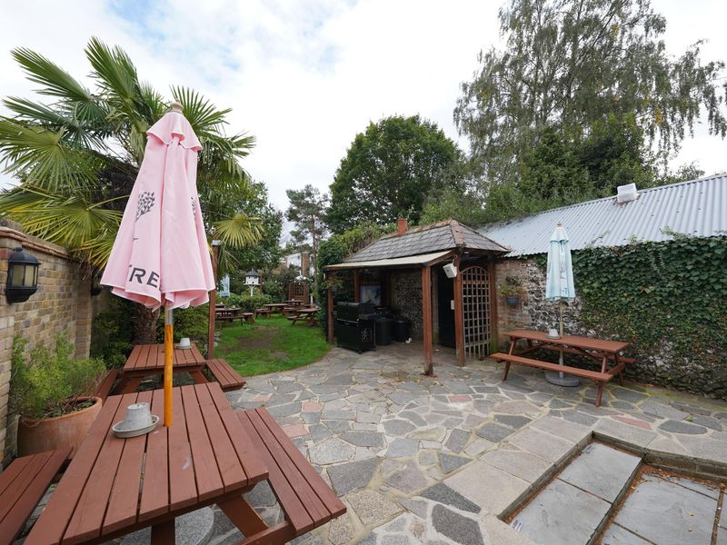 Photo taken 18 Sep 2025, garden.. (Garden). Published on 21-09-2025 