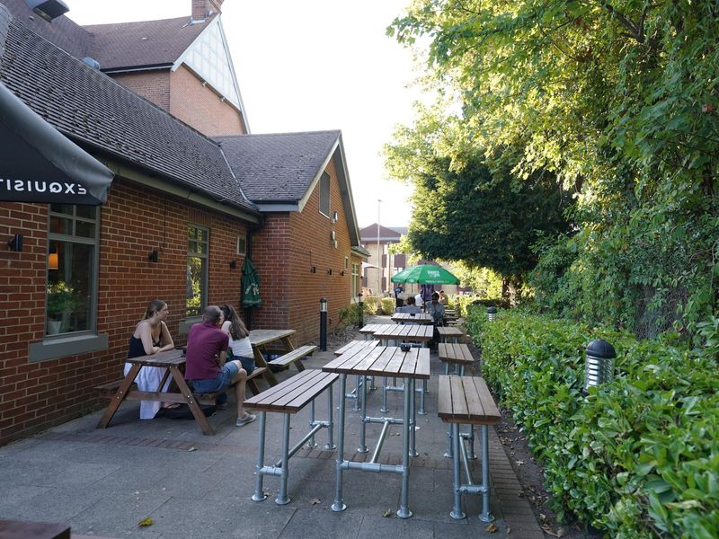 Photo taken 11 Aug 2026, patio.. (Garden). Published on 12-08-2026 