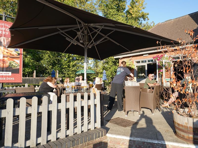 Photo taken 11 Aug 2026, patio.. (Garden). Published on 12-08-2026 