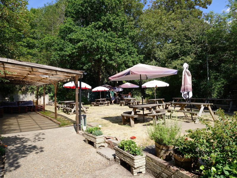 Photo taken 1 August 2026, garden.. (Garden). Published on 01-08-2026 