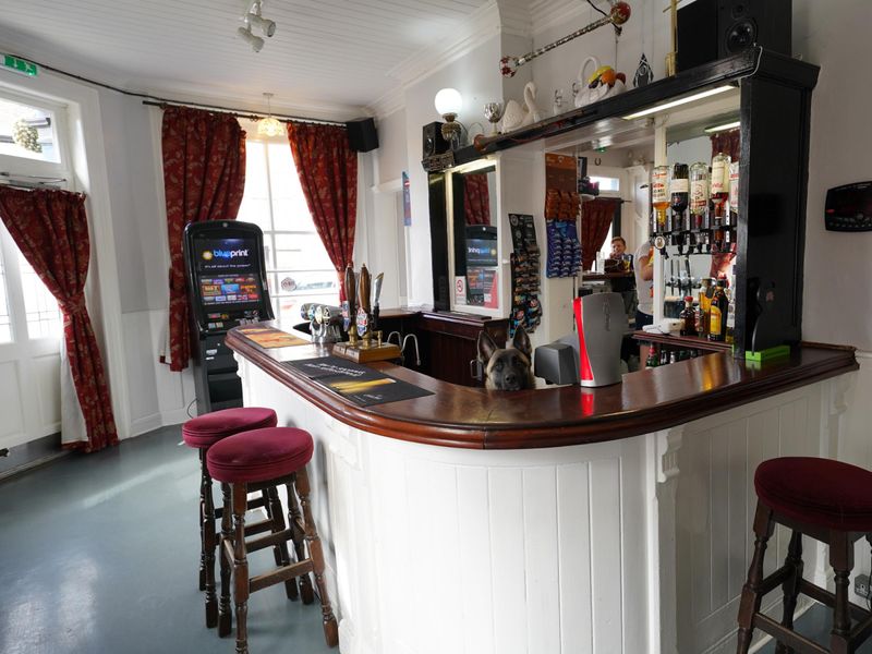 Photo taken 25 June 2022, interior with dog.. (Pub, Bar). Published on 26-06-2022