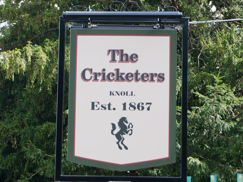 Cricketers, Orpington, sign. (Sign). Published on 29-06-2022 