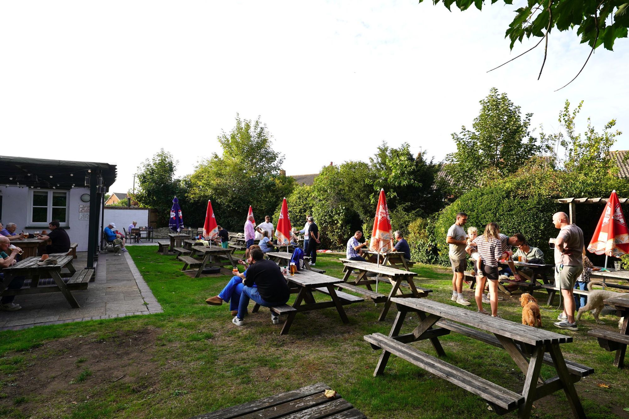 Photo taken 26 Sep 2026, garden. (Pub, Garden). Published on 26-09-2026