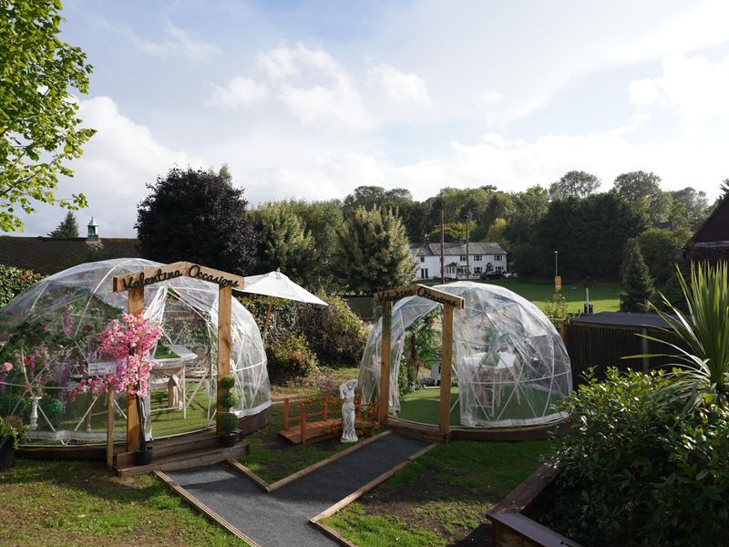 Photo taken 8 September 2022, garden.. (Pub, Garden). Published on 08-09-2022