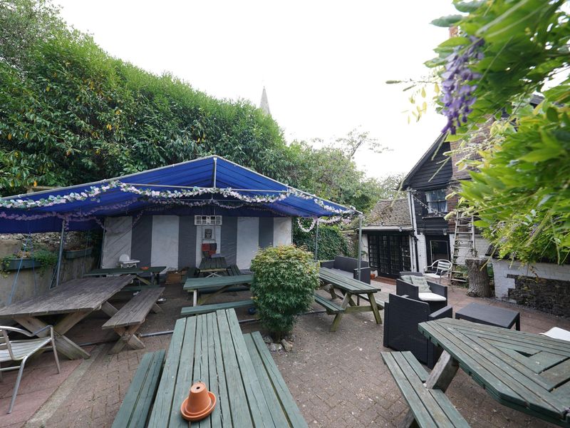 Photo taken 24 July 2026, garden.. (Garden). Published on 26-07-2026