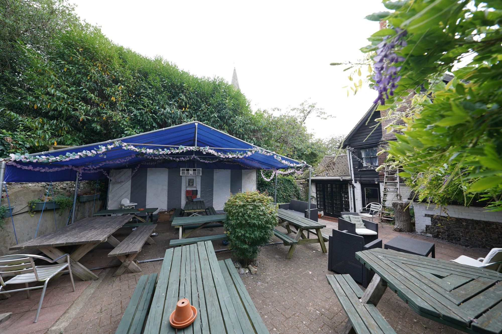 Photo taken 24 July 2026, garden.. (Garden). Published on 26-07-2026