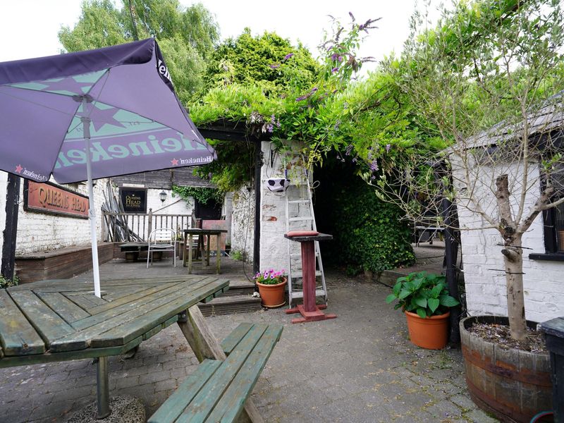Photo taken 24 July 2026, garden.. (Garden). Published on 26-07-2026