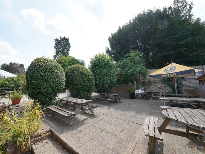 Photo taken 24 July 2026, garden.. (Garden). Published on 26-07-2026 