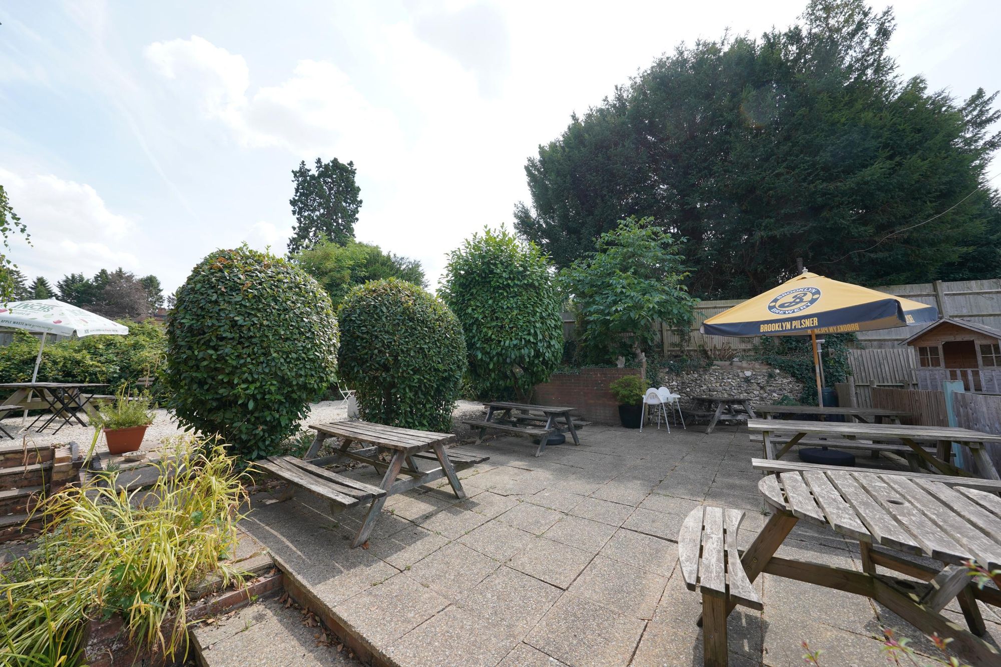 Photo taken 24 July 2026, garden.. (Garden). Published on 26-07-2026