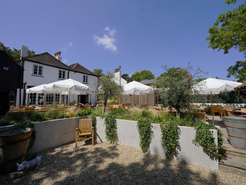 Photo taken 16 July 2026, garden.. (Garden). Published on 17-07-2026 