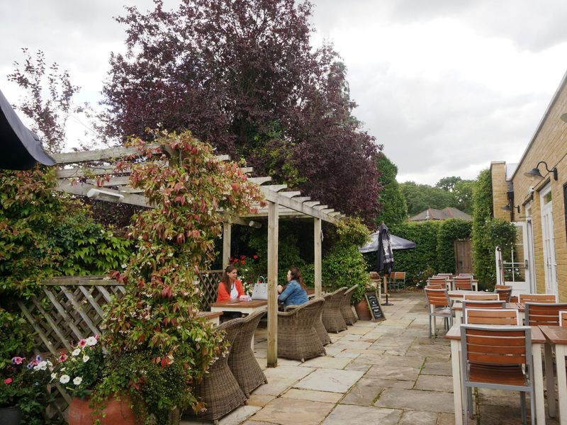 Photo taken 26 Aug 2020, garden.. (Garden). Published on 27-08-2020