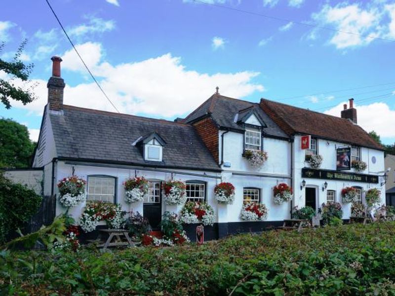 Photo taken 6 Aug 2016, garden.. (Pub, External). Published on 14-08-2016