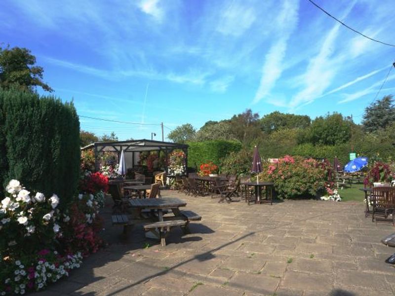 Photo taken 13 Sep 2016, garden.. (Pub, Garden). Published on 14-09-2016