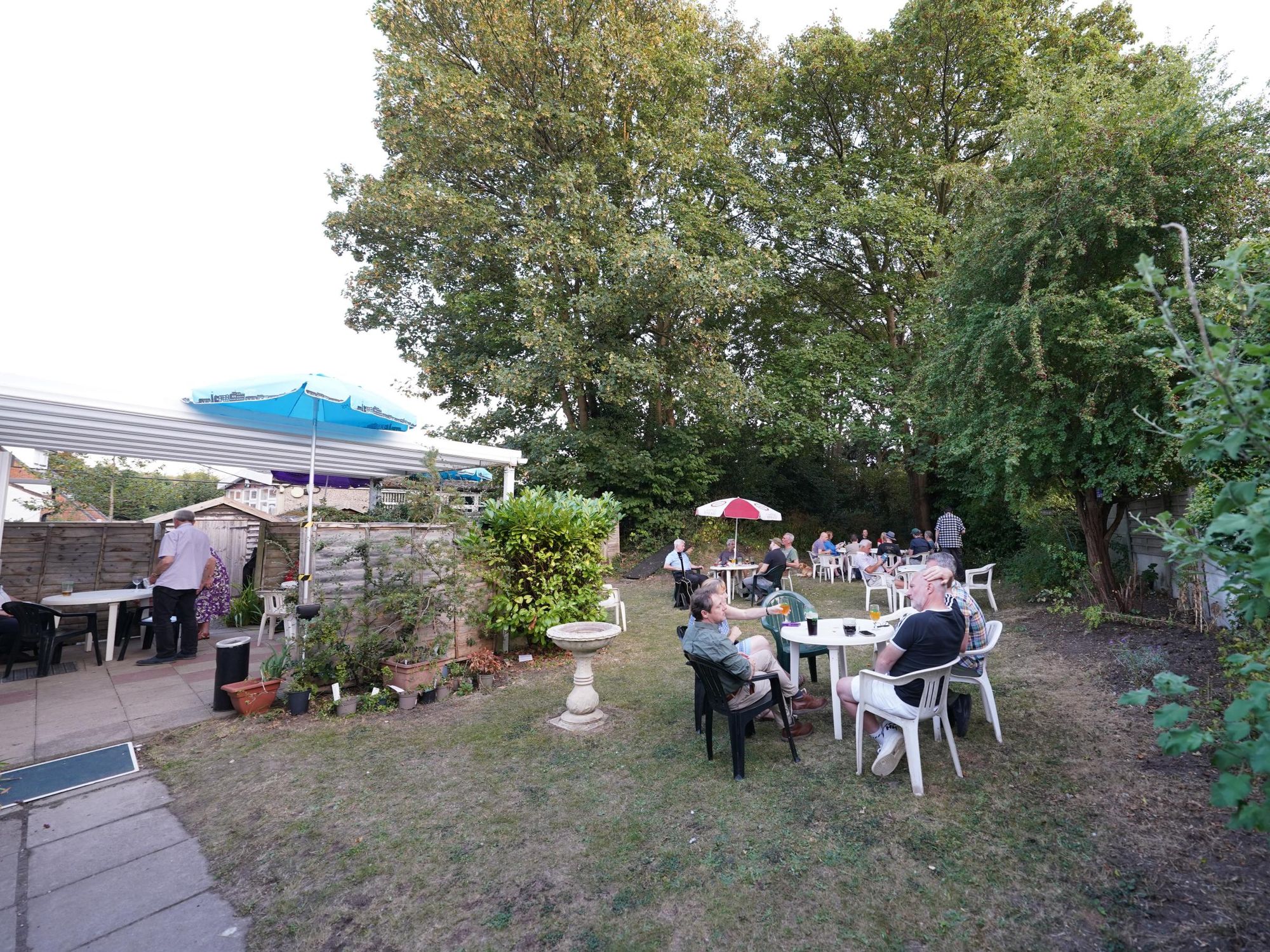 Photo taken 15 August 2025, garden.. (Garden). Published on 19-08-2025