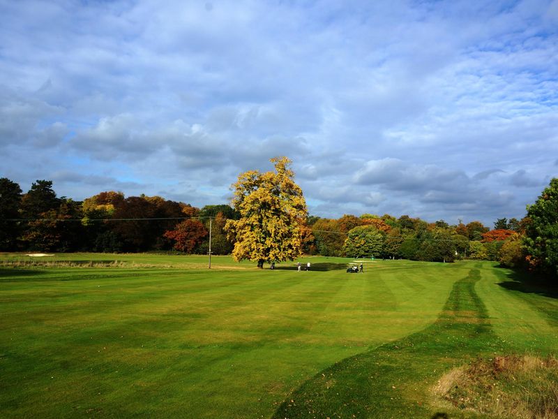 Photo taken 26 Oct 2016, golf course.. (Garden). Published on 26-10-2016 