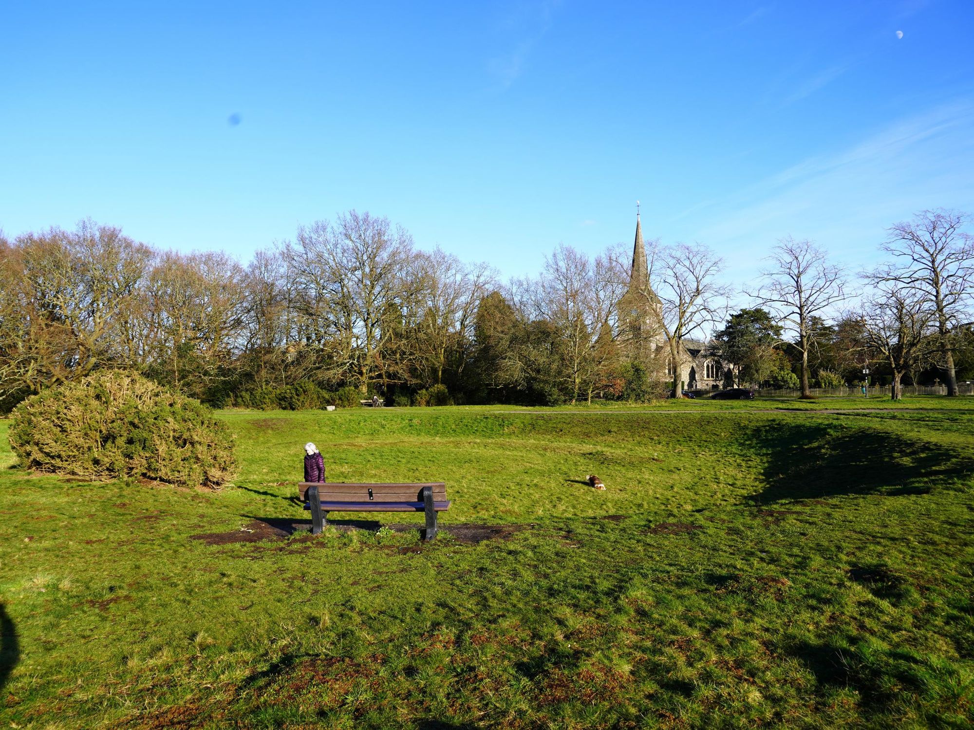 Photo taken 12 January 2021; Cockpit, on Chislehurst Common.. (Pub, Garden). Published on 05-05-2021