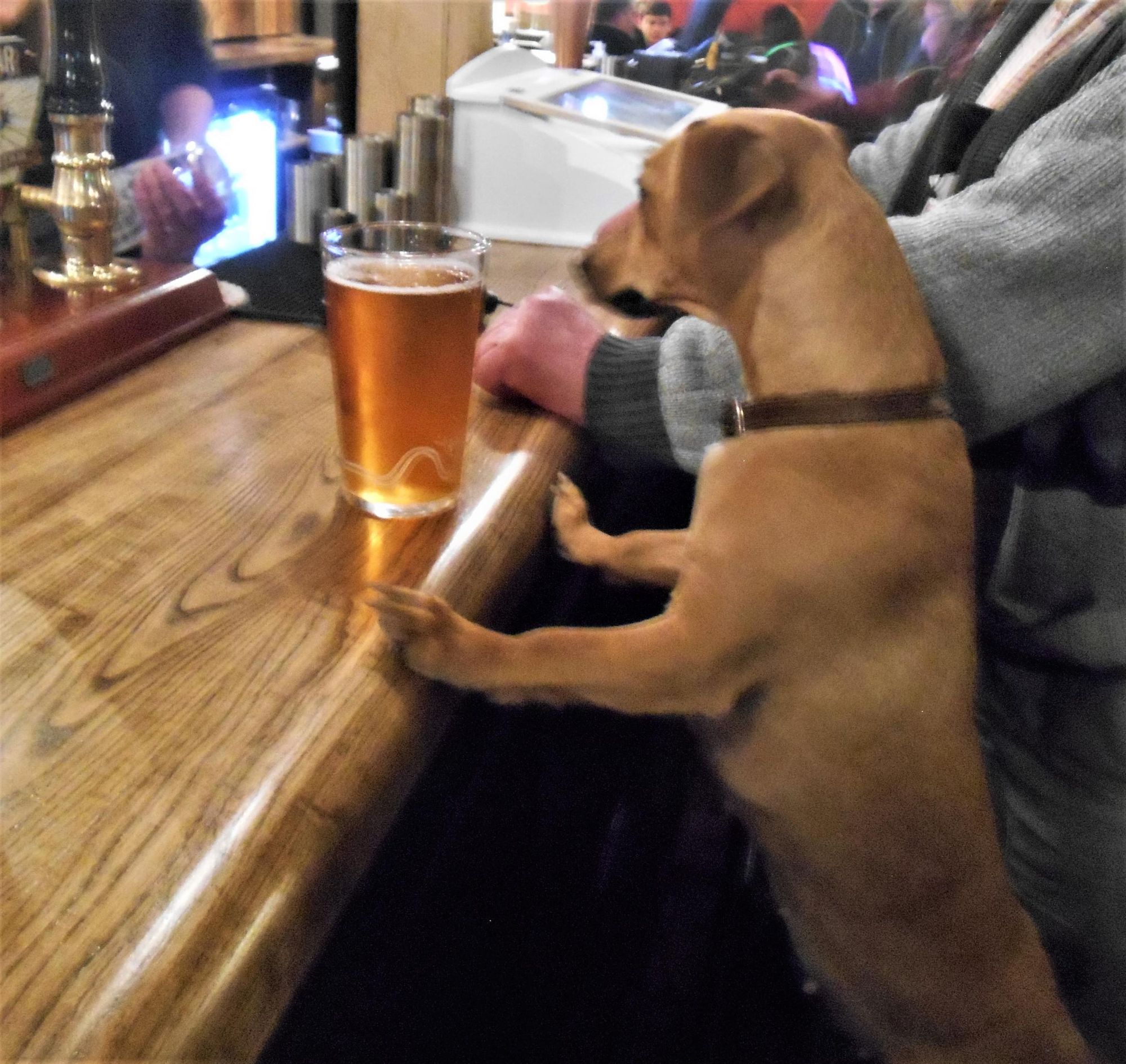 (Pub, Customers). Published on 28-02-2020