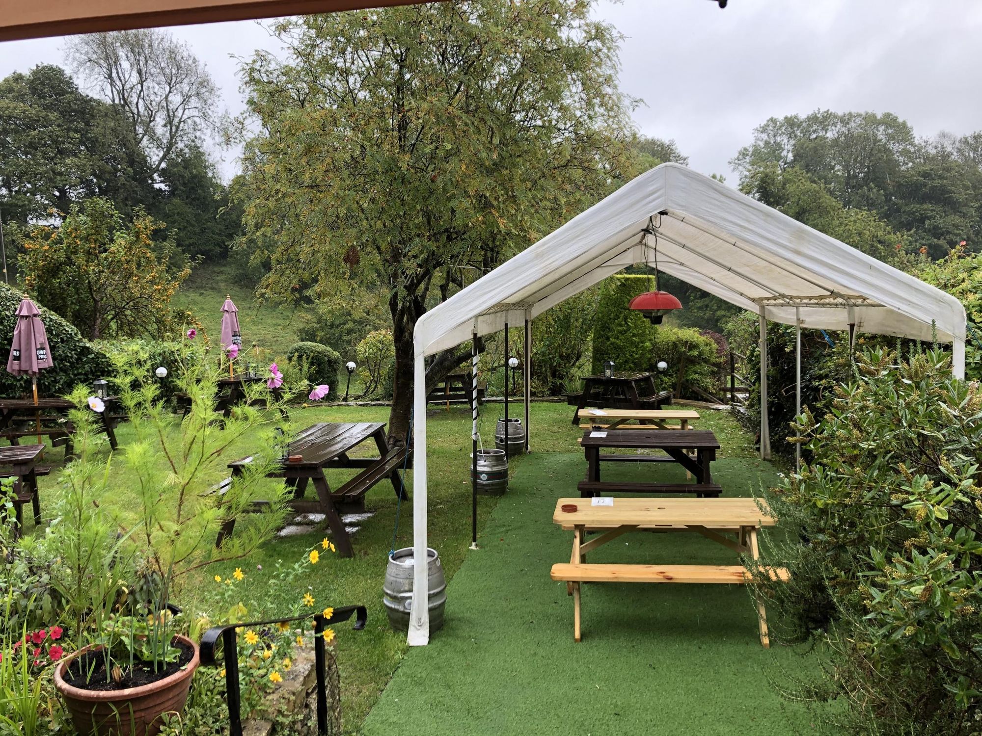 (Garden). Published on 03-10-2020