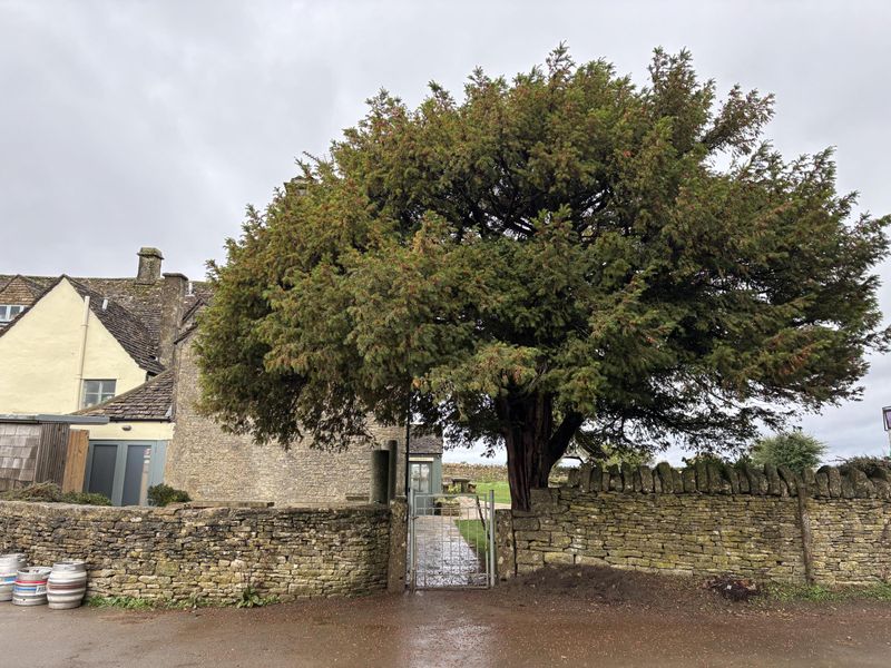 Entranceway, no step for disabled access, South side. (External). Published on 21-10-2026 