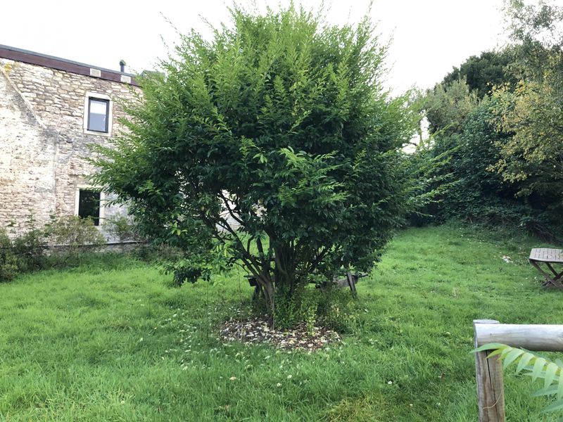 Upper rear garden area. (External, Garden). Published on 23-09-2020 