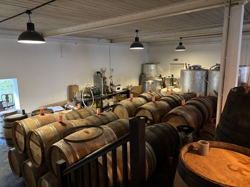 Beer quietly aging in wood. (Brewery). Published on 07-10-2026