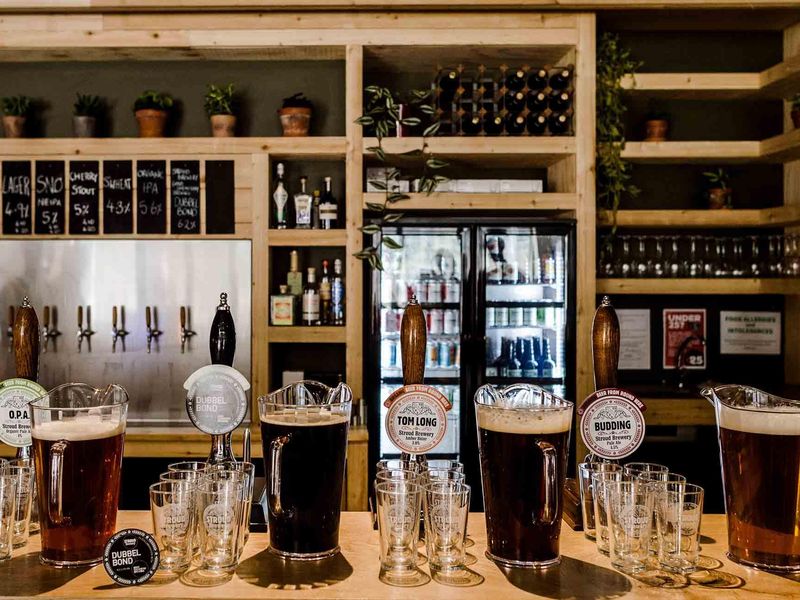 Stroud Brewery bar with handpumps pitchers of beer and empty gla. (Brewery, Bar). Published on 21-03-2020 