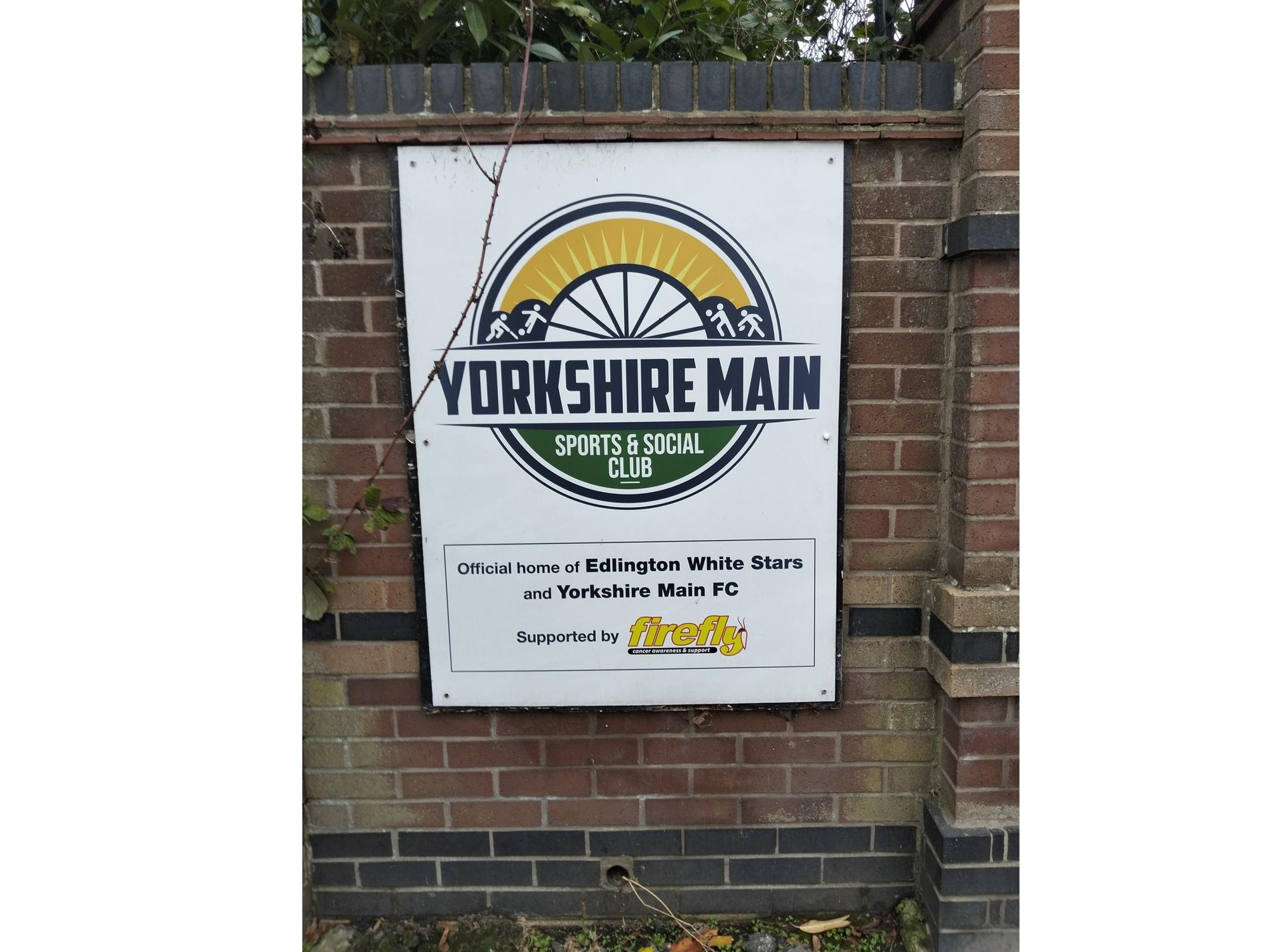 Published on 05-11-2025