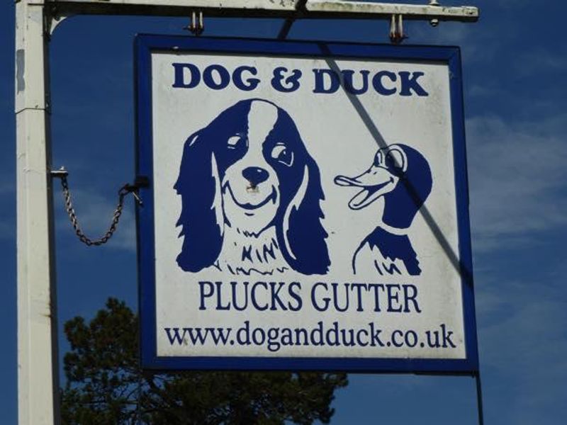Dog & Duck, Stourmouth - Sign © Tony Wells. (Pub, Sign). Published on 10-08-2015 