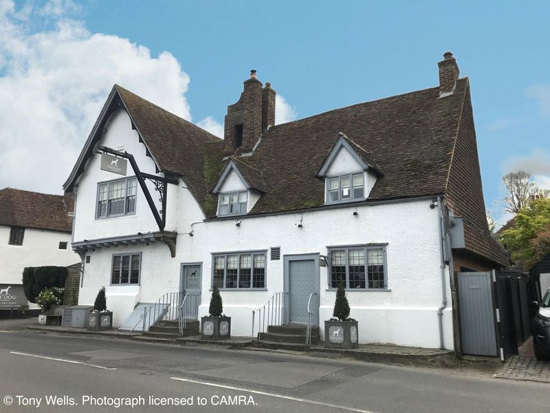 Dog Inn, Wingham - External © Tony Wells.. (Pub, External, Key). Published on 08-05-2024