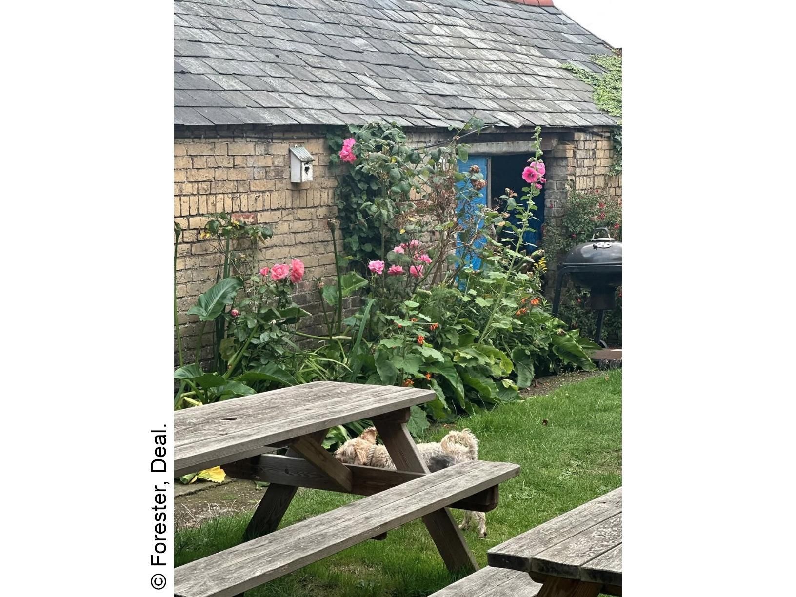 Forester, Deal - Garden © Forester, Deal. (Pub, Garden). Published on 13-10-2025