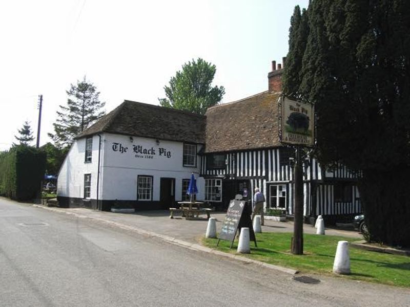 Black Pig, Staple - External © Tony Wells. (Pub, External, Key). Published on 20-04-2015 