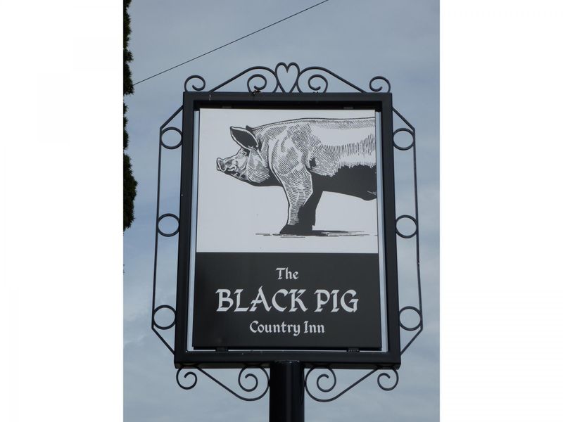 Black Pig, Staple - Sign © Tony Wells. (Pub, Sign). Published on 07-04-2018