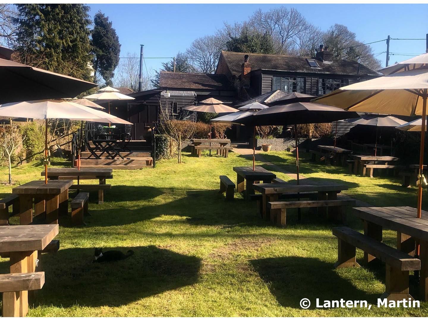 Lantern, Martin - Garden © Lantern. (Pub, Garden). Published on 18-04-2021