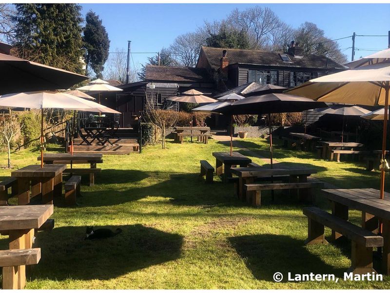 Lantern, Martin - Garden © Lantern. (Pub, Garden). Published on 18-04-2021