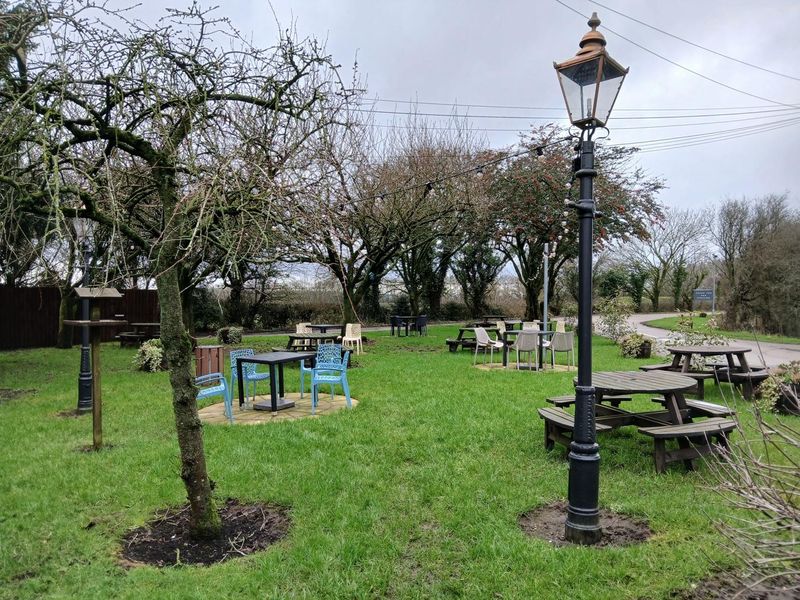 (External, Garden). Published on 09-02-2026 