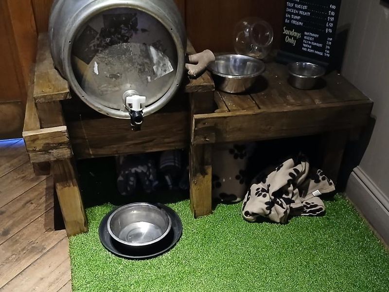 Dog station. Published on 09-02-2026 