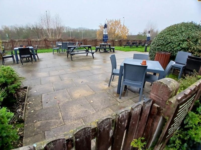 (Garden). Published on 09-02-2026 