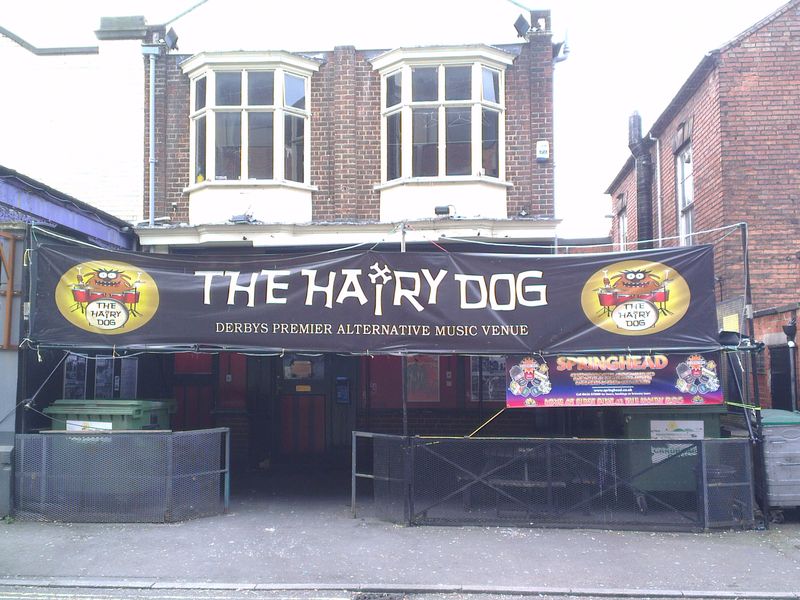 Hairy Dog, Derby. (Pub, External, Key). Published on 14-03-2014