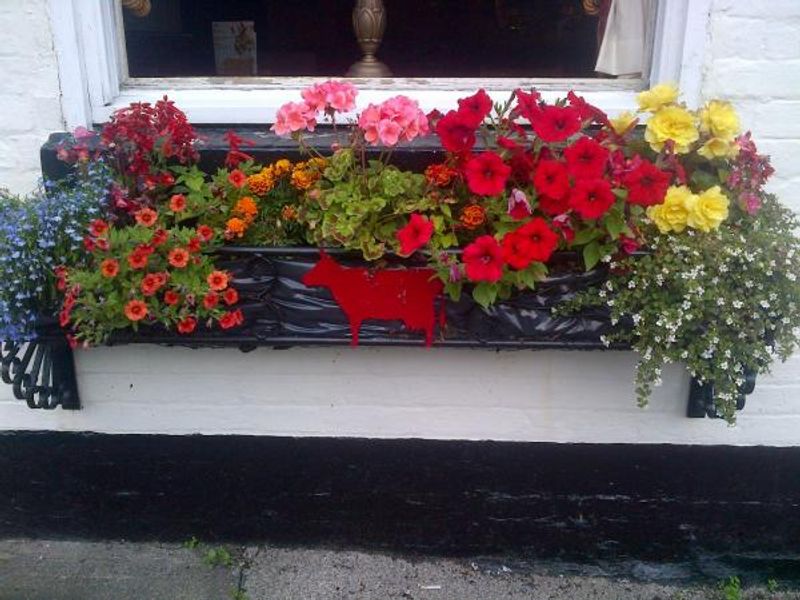 Illustrated Flower Troughs. (External). Published on 24-07-2016