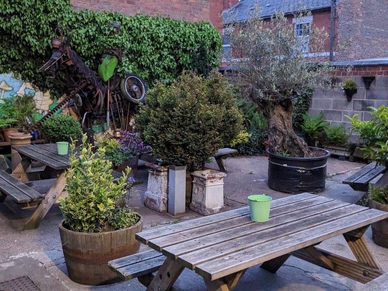 Yard. (Garden). Published on 27-02-2026 