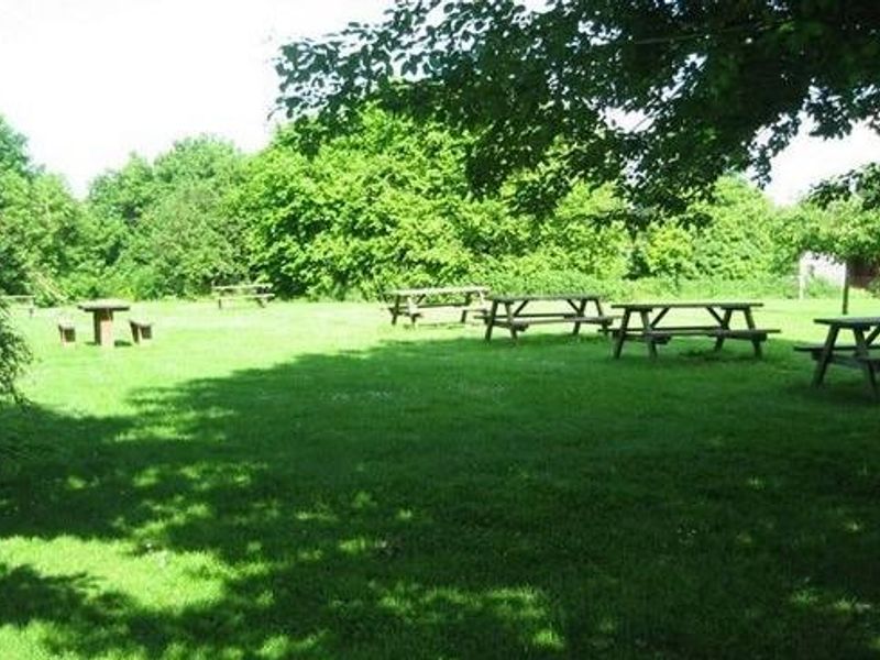 (Garden). Published on 14-01-2025