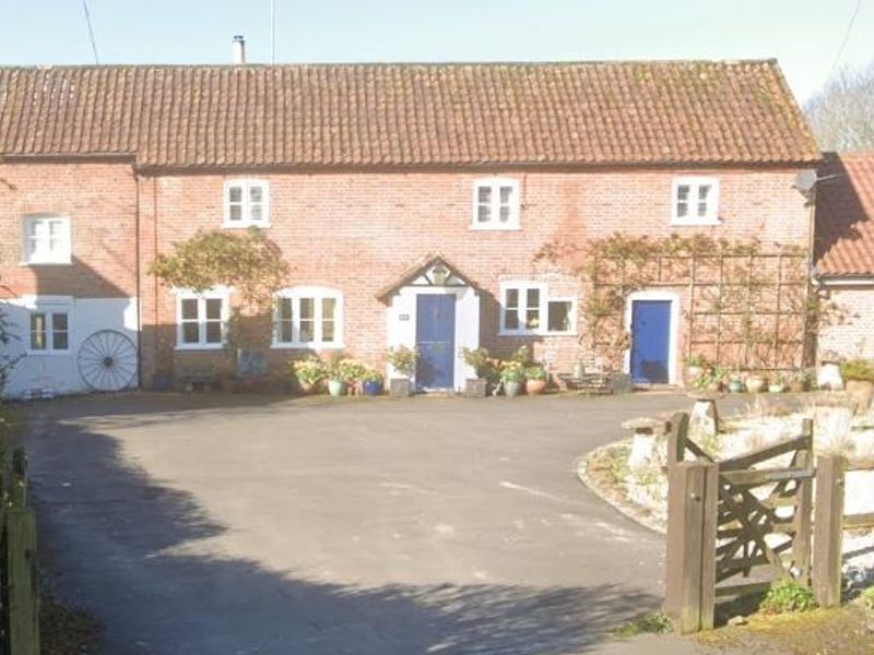 Published on 13-11-2025 