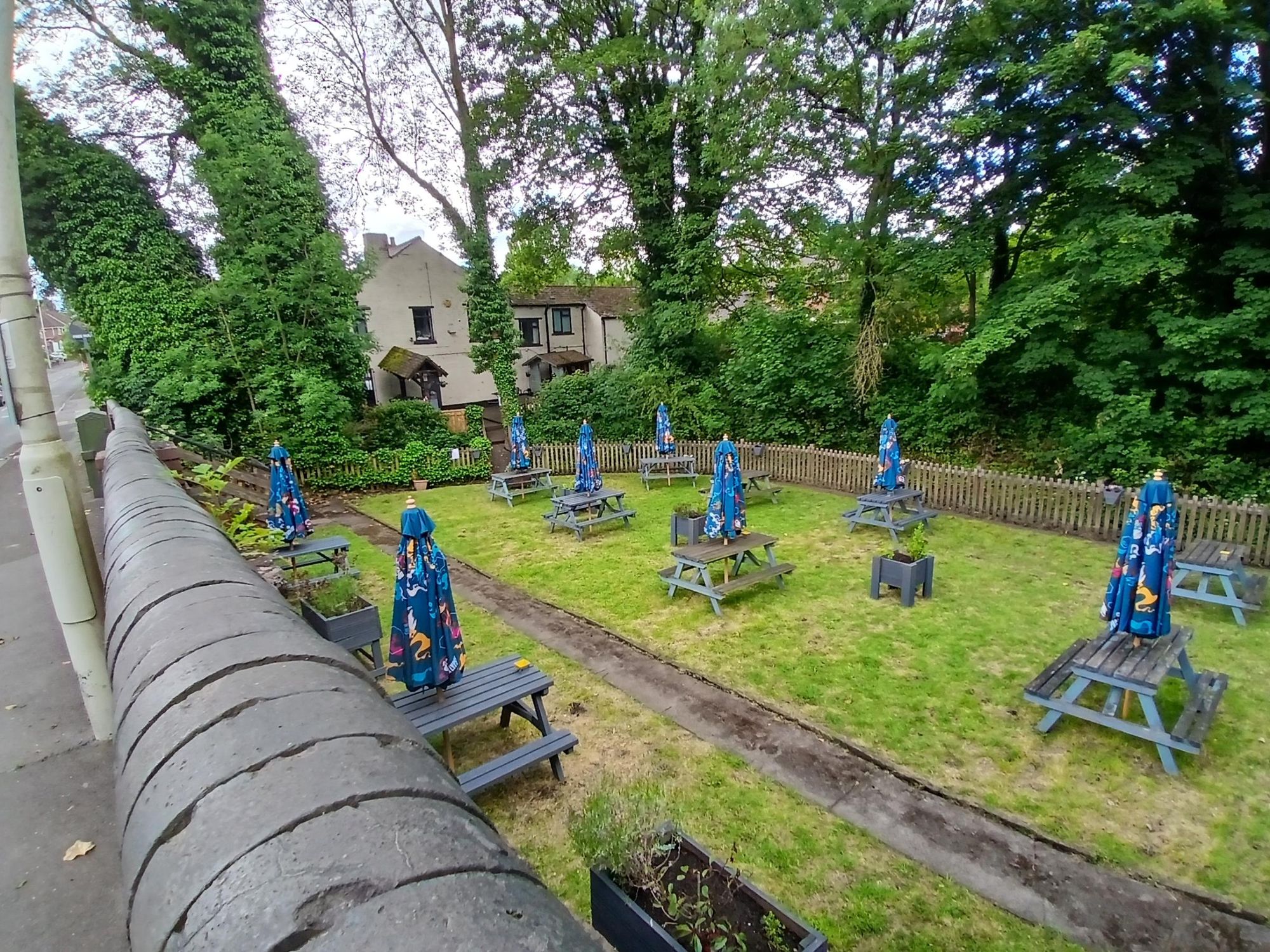 (Garden). Published on 02-06-2026