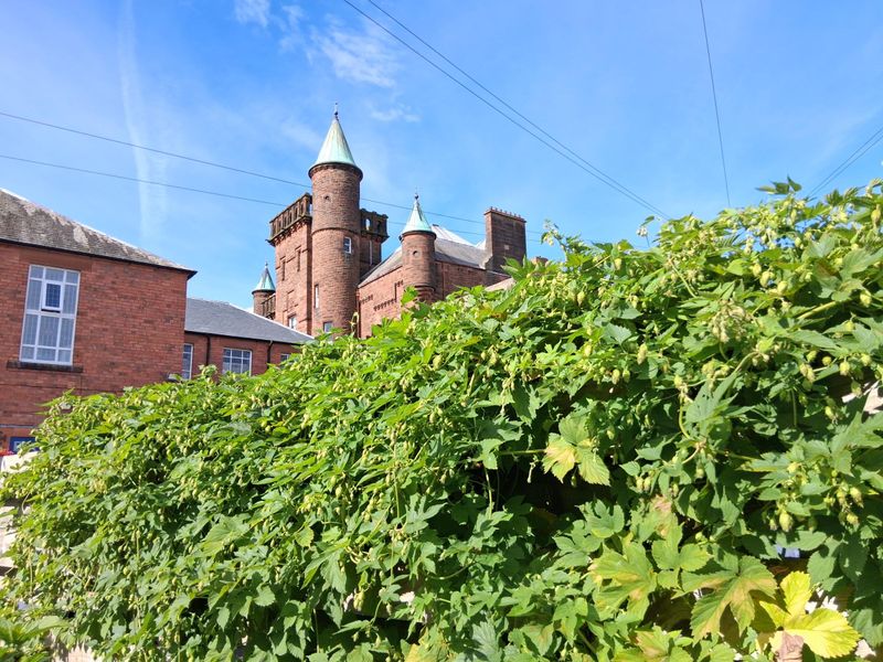 (Garden). Published on 22-08-2026
