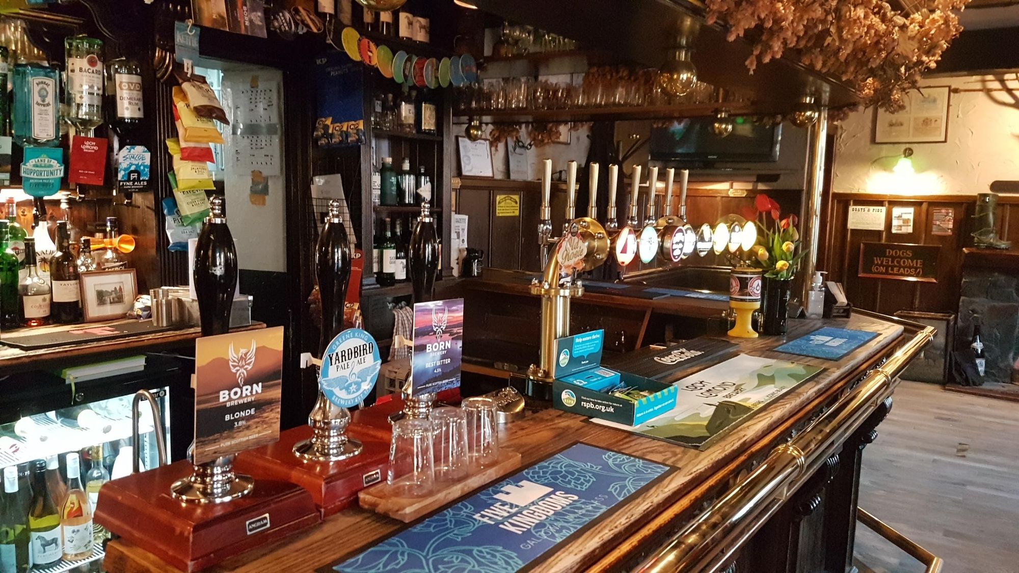 (Bar). Published on 25-11-2023