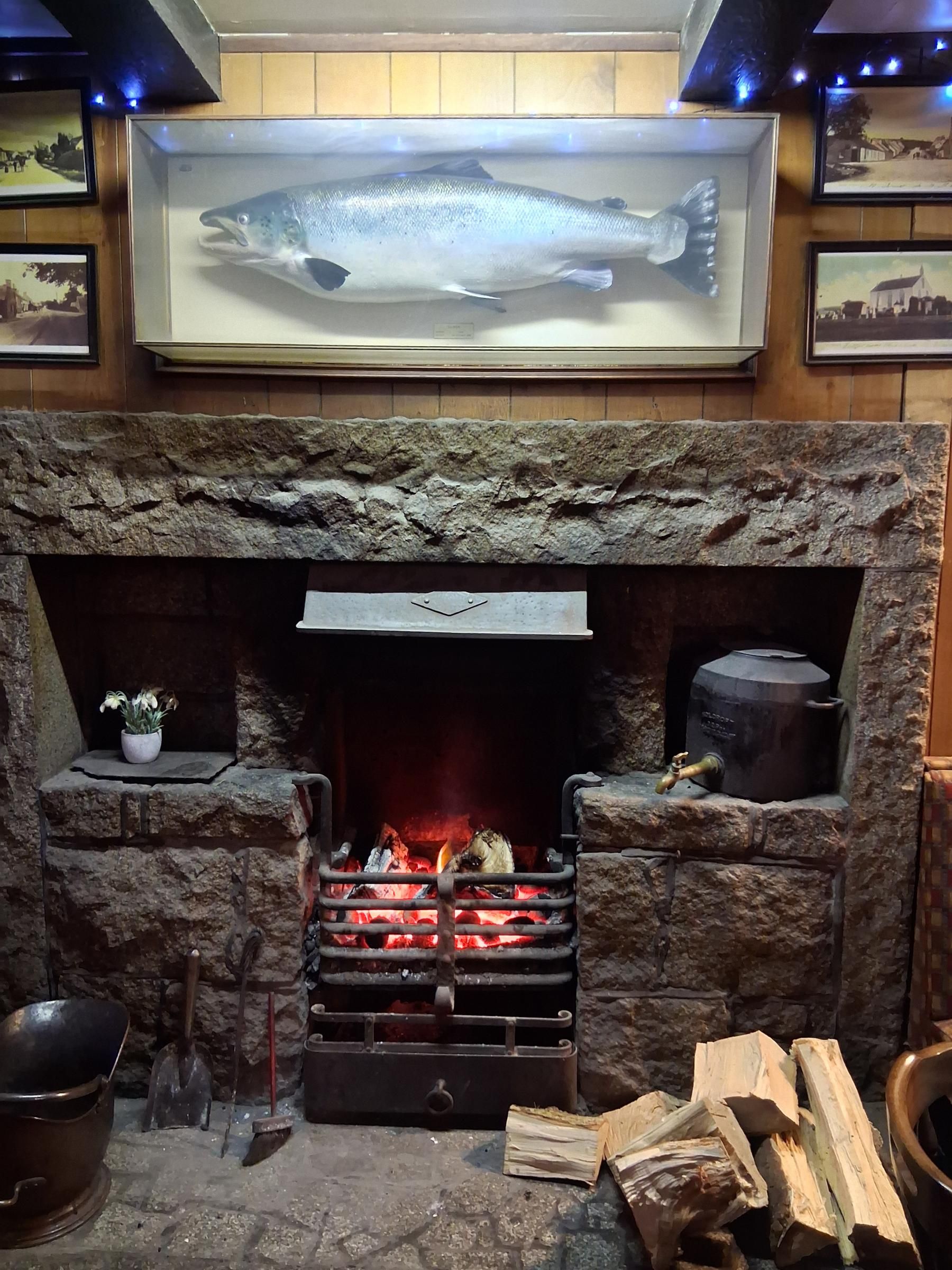 (Pub). Published on 05-03-2026