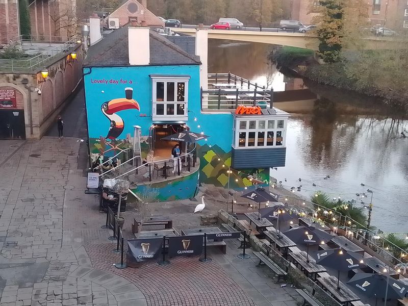 Contoversial. (Pub, External, Sign). Published on 20-11-2025 