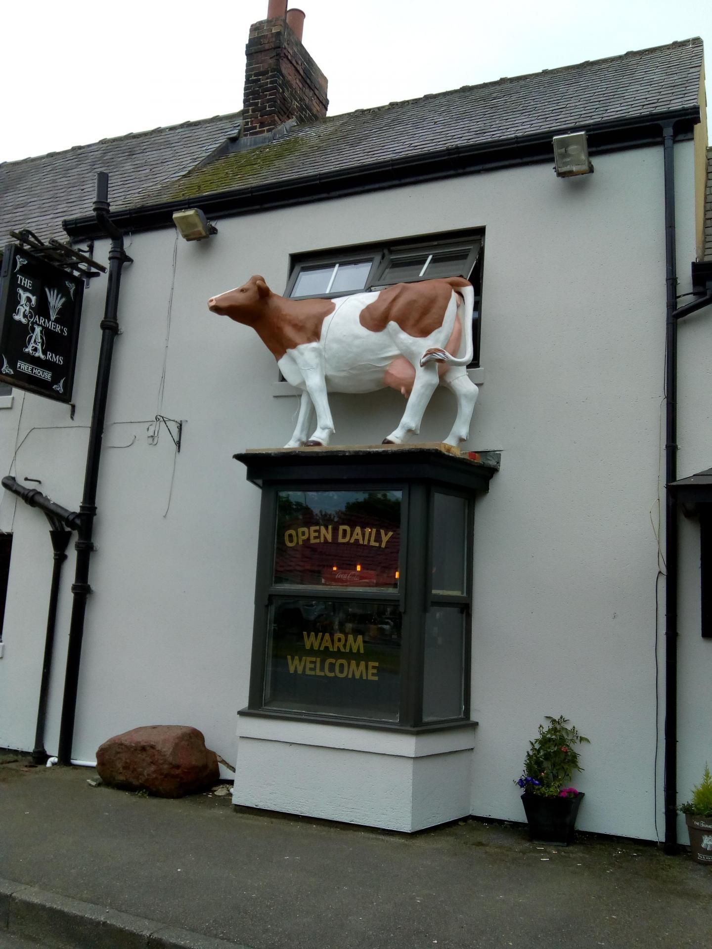 Cow at Farmers. (Pub, External, Sign). Published on 02-07-2018
