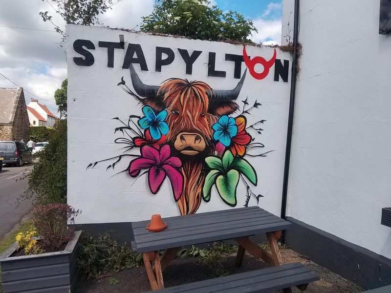 Mural on Stapylton. (External, Sign). Published on 07-06-2024